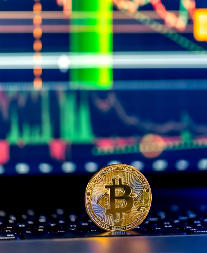 Team von Avanzata Barenox bei der Marktanalyse